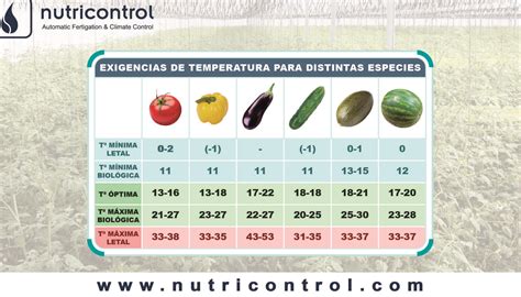 Gráfico de temperaturas ideales para los ingredientes de la mousse