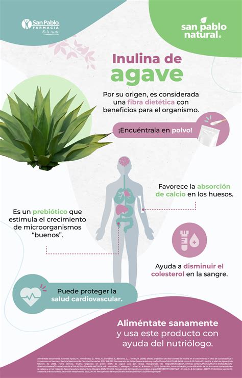 Infografía sobre los beneficios de la inulina para la salud intestinal y la glucemia