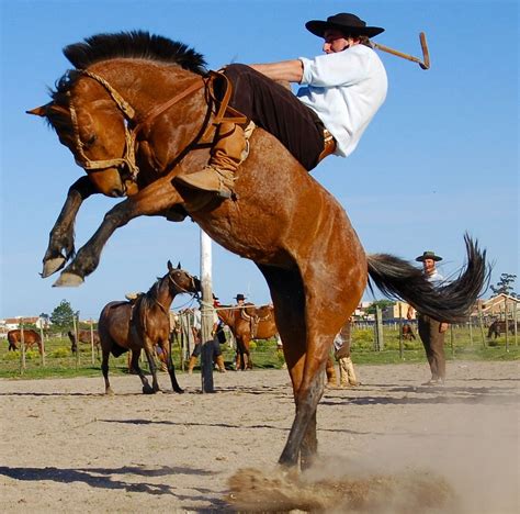 Imagen de la Jineteada Rural con jinetes y público
