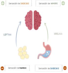 Infografía explicando el concepto de