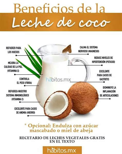 Ilustración mostrando los beneficios de la leche de coco para la piel, con énfasis en hidratación y alivio de irritaciones.