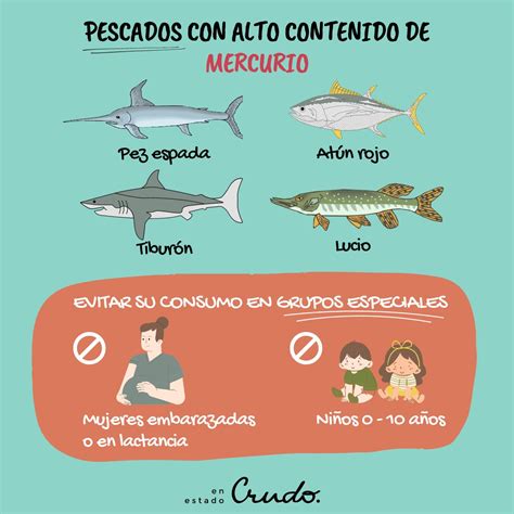 Infografía: Pescados con alto y bajo contenido de mercurio
