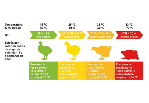 Gráfico de barras mostrando la temperatura ideal para pollos según su edad