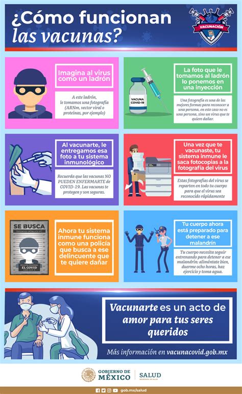 Infografía detallando los componentes de las vacunas y su seguridad