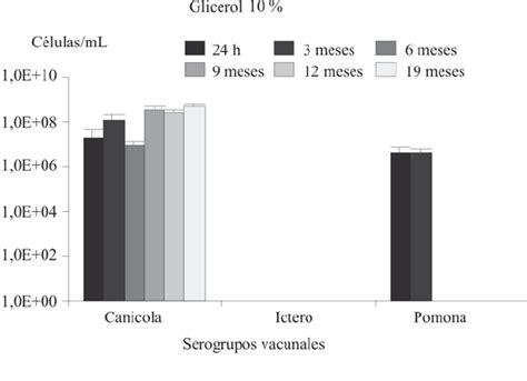 Gráficos comparativos de viabilidad de cepas de Leptospira tras crioconservación