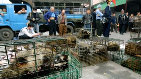Un mercado de animales vivos en China