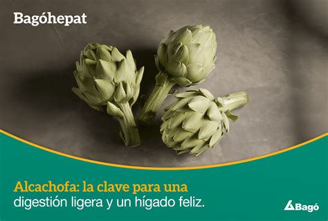 Infografía: 