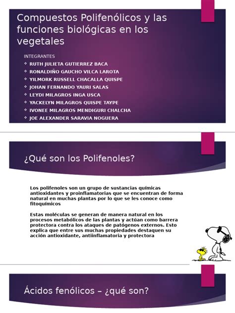 Micrografía de compuestos polifenólicos en células vegetales