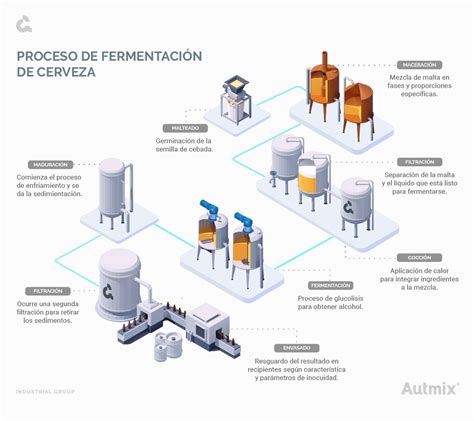 Diagrama del proceso de elaboración de cerveza, destacando la etapa de fermentación con levadura.