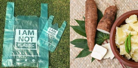 Imagen de bolsas de Avani Eco hechas de almidón de yuca y/o plantación de yuca