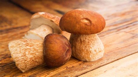 variedad de setas comestibles en una cesta