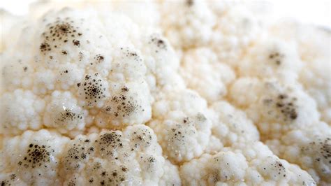 hongo de coliflor