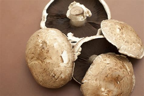 champiñones portobello grandes y frescos