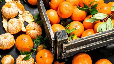 Frutas silvestres recién recolectadas, listas para ser usadas en repostería.