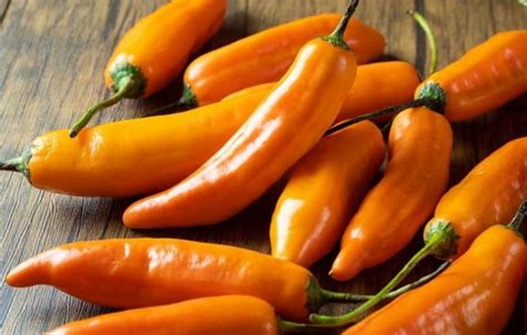 Esquema comparativo entre las formas del Ají Amarillo y el Chile Campana