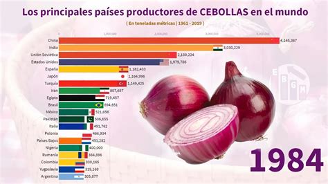 Infografía comparativa: Producción vs. Importación de cebollas en los principales países europeos (Reino Unido, Países Bajos, Alemania, Polonia, España).