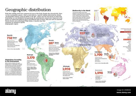 Infografía sobre la distribución geográfica y métodos de captura de la jibia (Dosidicus gigas)
