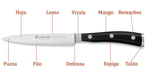 Infografía comparativa que muestra la morfología de un cuchillo de cocinero y un cuchillo de medio golpe, señalando la curvatura de la hoja y el mango