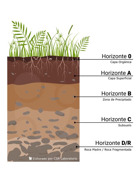 Esquema de las capas de una compostadora: base de ramas, restos orgánicos verdes y capa de tierra superior