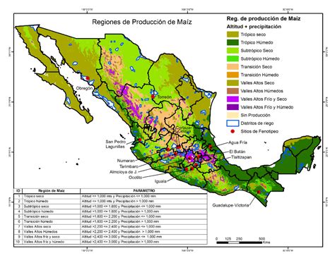 Mapa de las principales zonas productoras de maíz y sus rendimientos