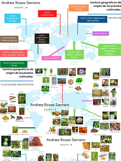 Ilustración de un mapa mostrando los centros de origen y diversificación del poroto en América