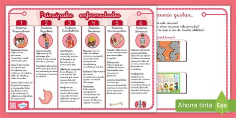 Esquema de las principales enfermedades del poroto y sus síntomas