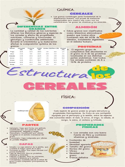 Esquema sobre la composición de los cereales y la estructura molecular del gluten (gliadinas y gluteninas) en el grano de trigo.