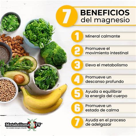 Infografía detallando los múltiples beneficios del magnesio para la salud general del cuerpo humano.