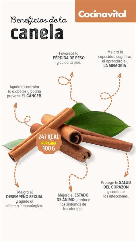 Infografía mostrando diversos usos de la canela en la cocina