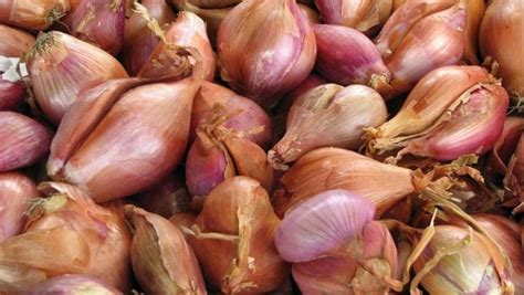 Plato con chalotas y ajos glaseados, con un color dorado y una textura ligeramente caramelizada, adornado con ramitas de tomillo.