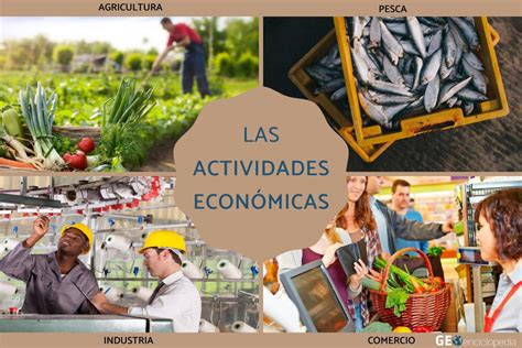 Infografía que ilustra las diferentes actividades económicas de la empresa (cultivo, procesamiento, venta)