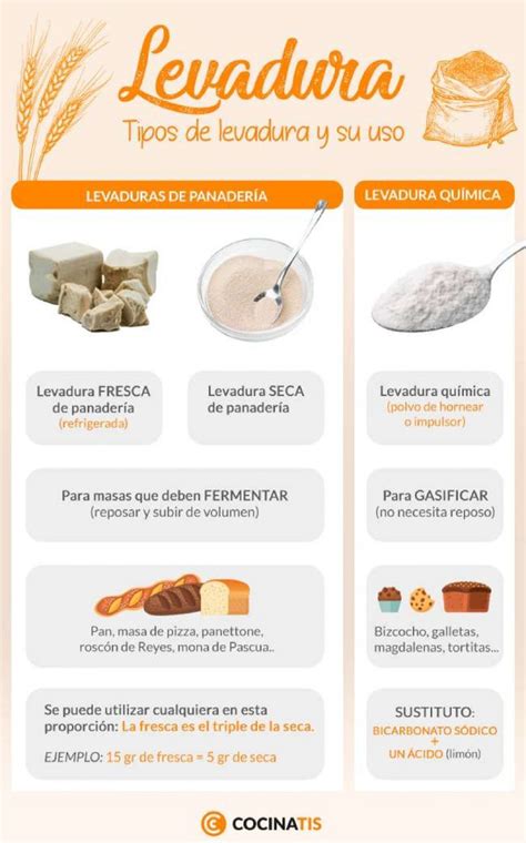 Esquema de cómo funciona la levadura en la masa
