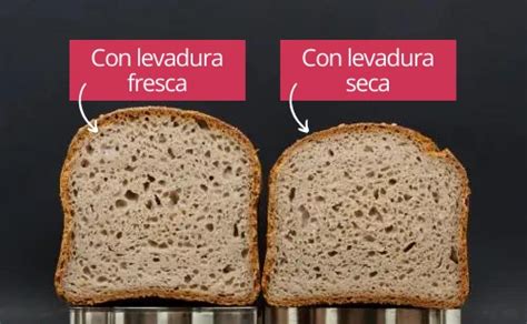 Pan horneado con levadura fresca vs. pan horneado con levadura seca