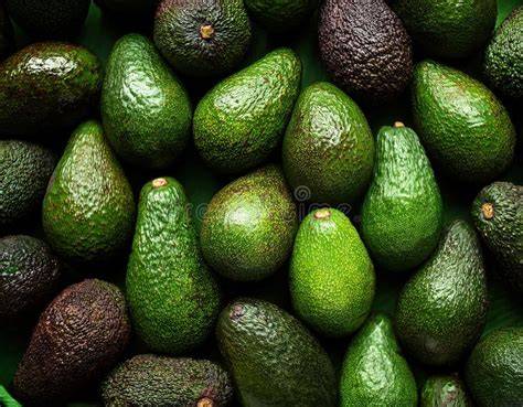 Fotografía de aguacates frescos y variados