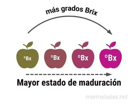 esquema técnico del proceso de cocción y concentración de grados Brix en mermeladas