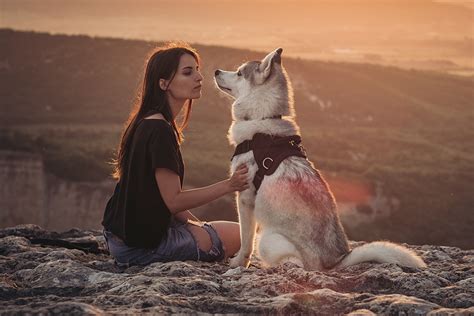 Jóvenes voluntarios de PAL interactuando con animales en Palestina