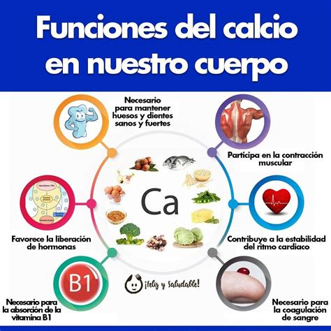 Infografía mostrando la estructura ósea y muscular de un niño con iconos de calcio y proteína.