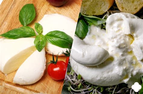 Infografía comparativa de burrata y mozzarella