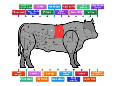 Esquema anatómico de la res que muestra la ubicación del corte del diafragma (skirt steak) en la sección del short plate.