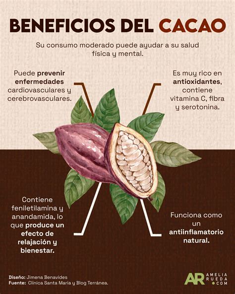 Infografía comparativa: beneficios del consumo de cacao para el corazón, el cerebro y el estado de ánimo.