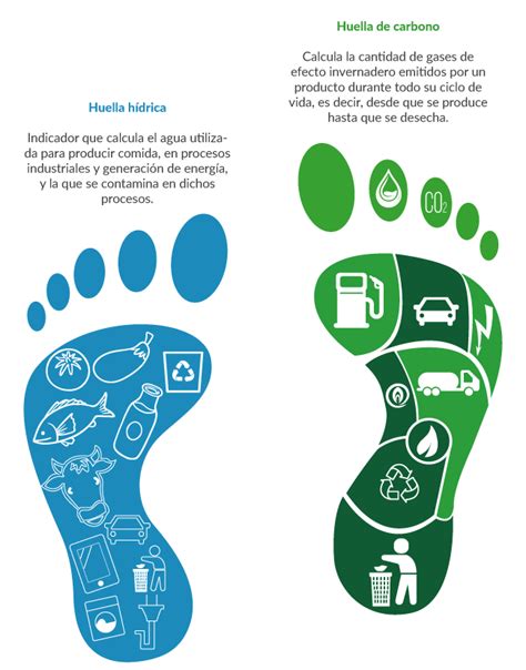 Esquema comparativo de la huella hídrica y de carbono entre carne vacuna, porcina y aviar.