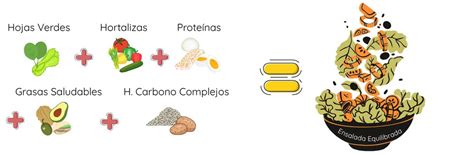 Esquema de los componentes de una ensalada equilibrada: base de hojas verdes, porción de proteína magra, grasas saludables y aderezo nutritivo.