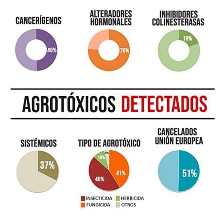 Esquema de la presencia de agrotóxicos en alimentos infantiles y sus fuentes