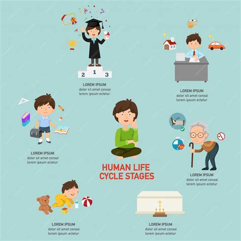 Infografía sobre el ciclo de vida de Colletotrichum en la arveja: de la semilla infectada a la dispersión por lluvia