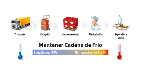 Esquema que muestra la cadena de frío y los diferentes métodos de conservación (refrigeración, congelación, envasado al vacío).