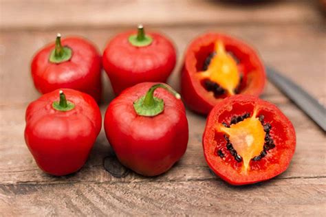Infografía comparativa de las propiedades antioxidantes del rocoto rojo frente al amarillo