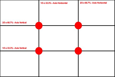 Esquema de las 9 secciones (regla de los tercios) aplicadas sobre un plato redondo para colocar el arrollado de pollo