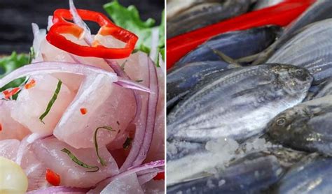 Infografía: Tipos de pescado ideales para ceviche