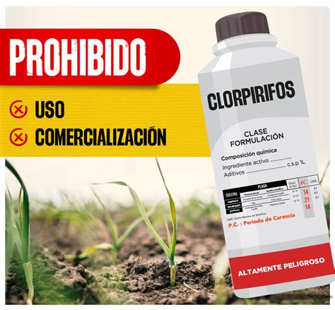 Infografía sobre las rutas de exposición al clorpirifos en entornos domésticos y agrícolas