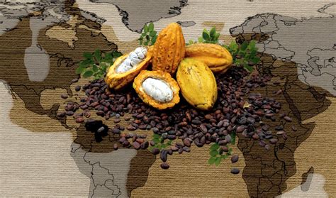 Mapa histórico de la expansión del cultivo de cacao desde Sudamérica hacia el resto del mundo.